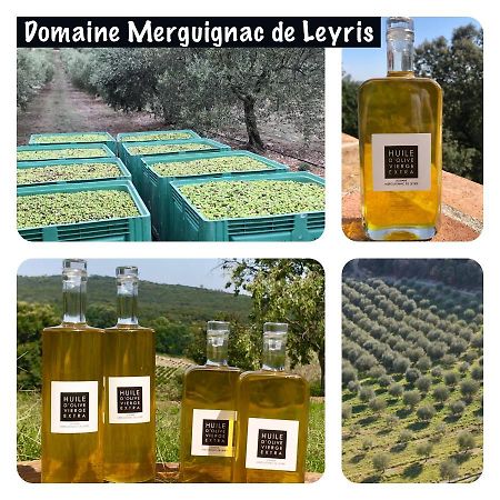 Mas Grenadine, Magnifique Villa Du Piemont Cevenol Sauve المظهر الخارجي الصورة