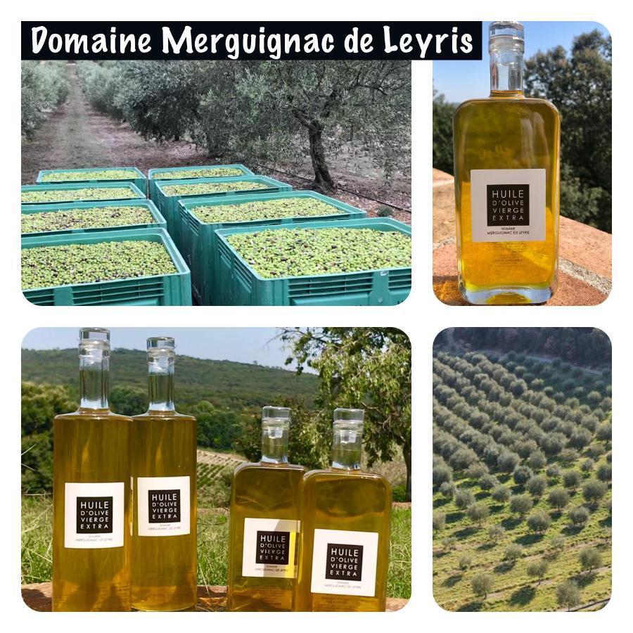 Mas Grenadine, Magnifique Villa Du Piemont Cevenol Sauve المظهر الخارجي الصورة