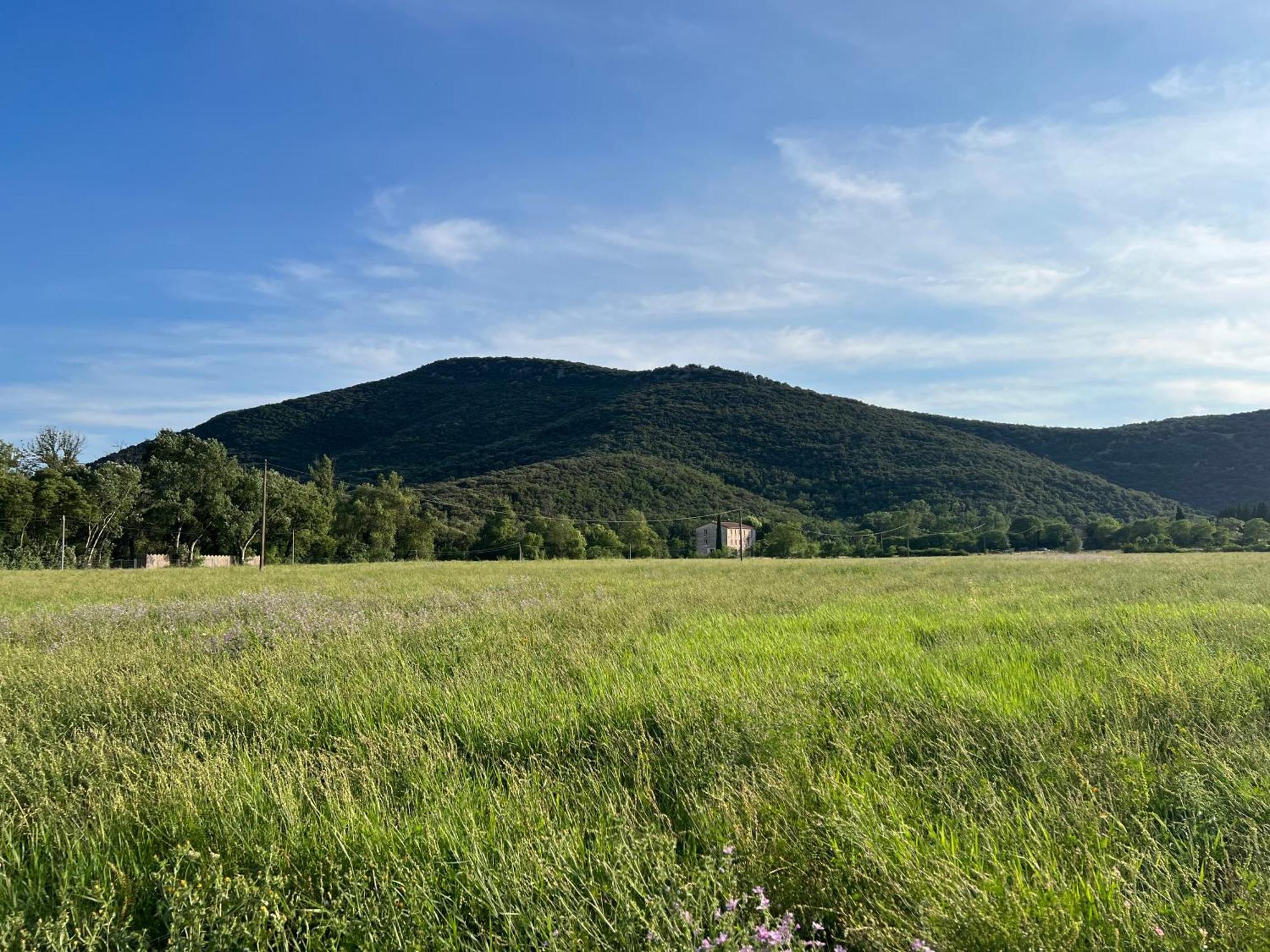 Mas Grenadine, Magnifique Villa Du Piemont Cevenol Sauve المظهر الخارجي الصورة